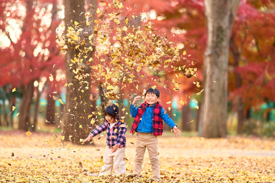 Fall Leaves, Leaf Peeping