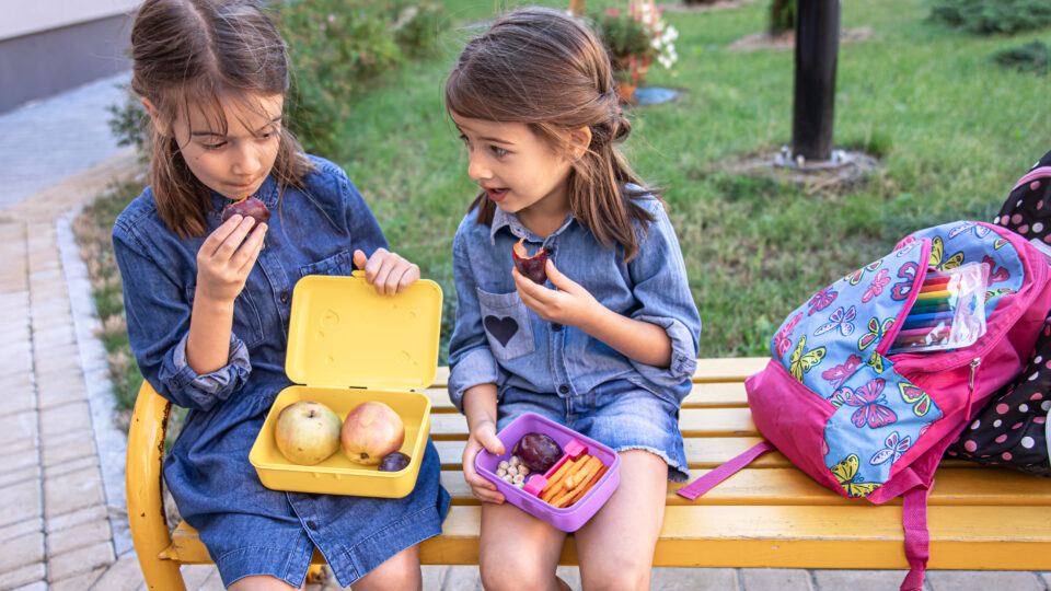 Fuel for Fun: Easy Camp Snacks Kids Will Love