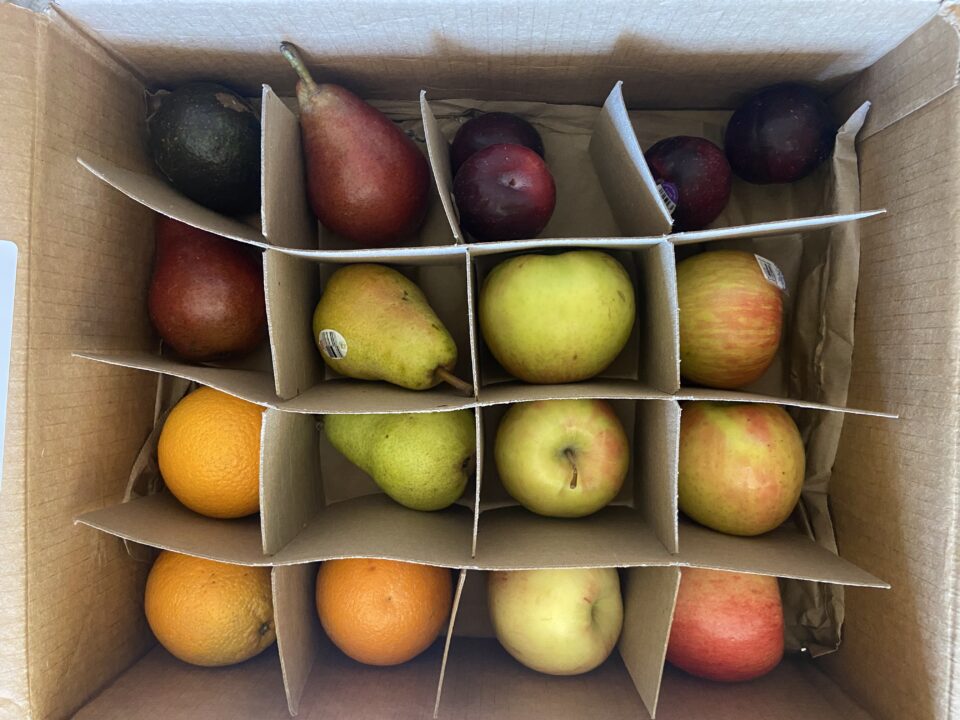 The Fruit Guys Fall Fruit Basket