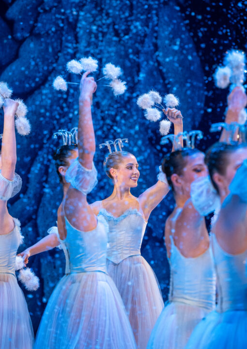 The dancing snowflakes are dreamy! (Andres Castillo)