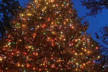 Christmas Events in Birmingham