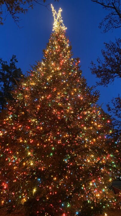 Christmas Events in Birmingham