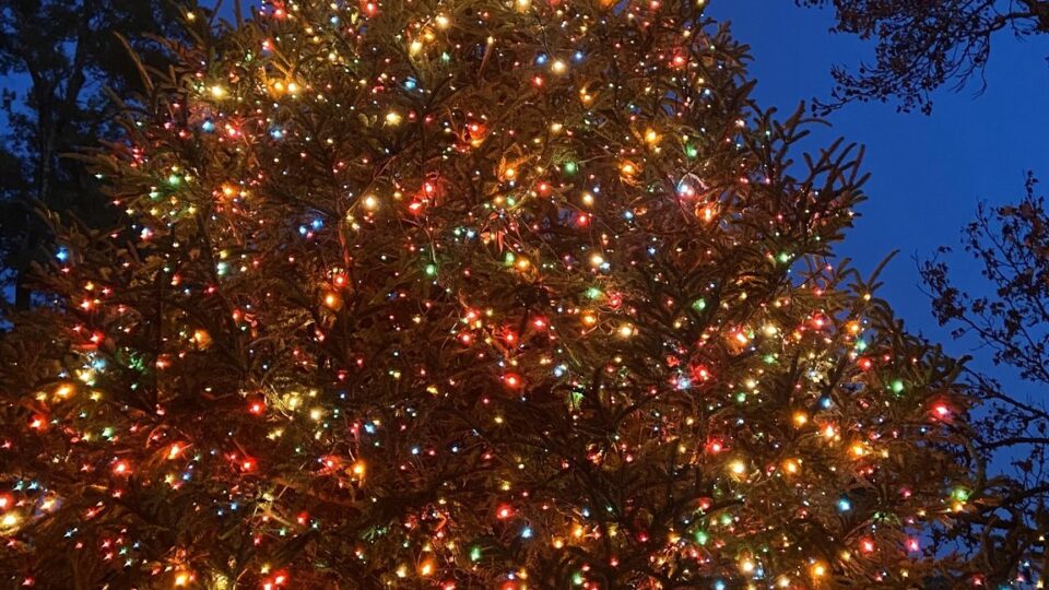 Christmas Events in Birmingham