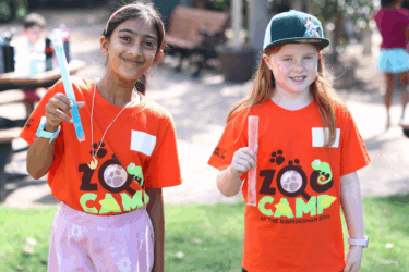 The Birmingham Zoo Camp