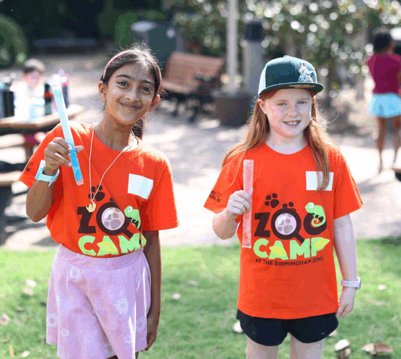 The Birmingham Zoo Camp