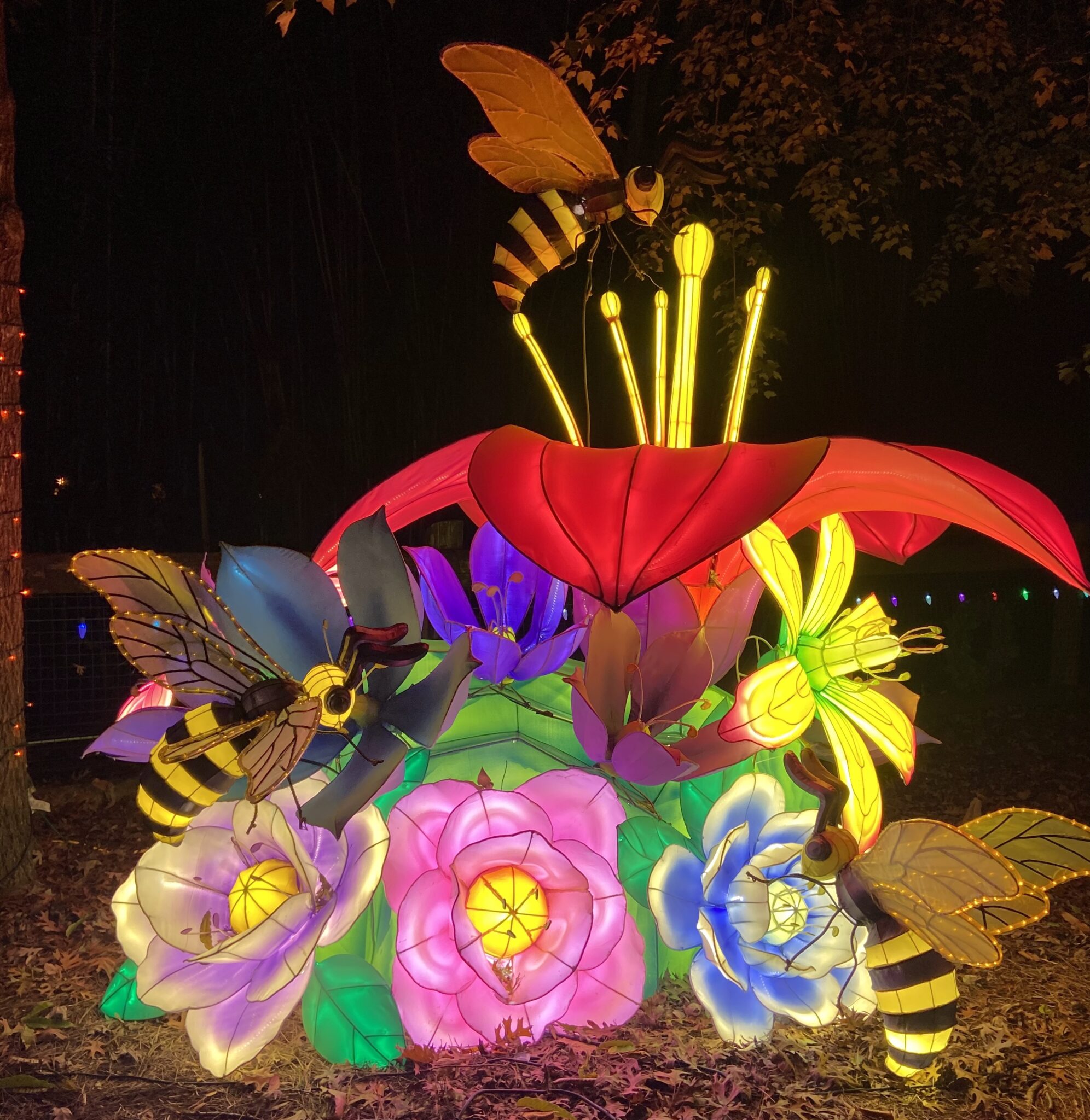 Glow Wild And Bright Birmingham Zoo S Dazzling Holiday Spectacle