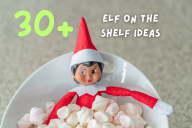 Elf on the Shelf Ideas