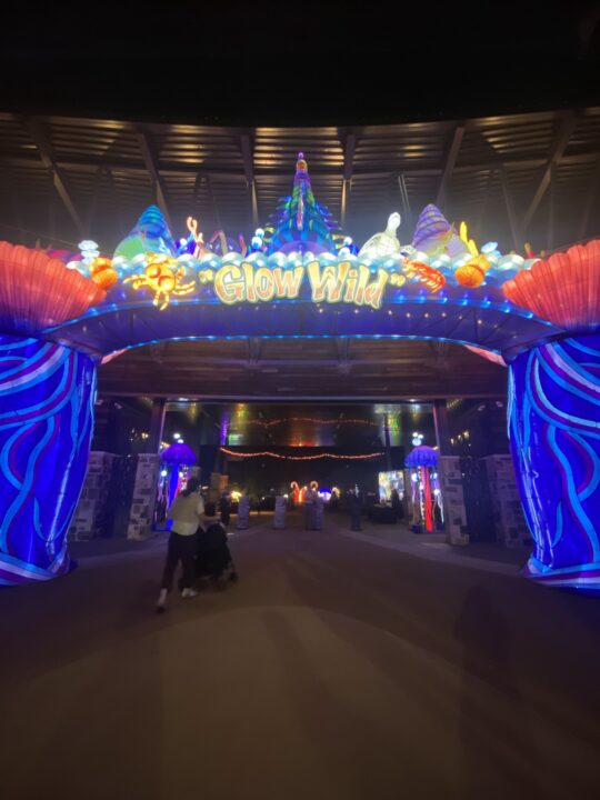 Glow Wild 2025