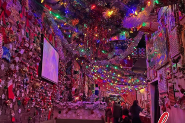 Photo of the Christmas Magic at Miracle on 24th St. (Hold Your Horses)