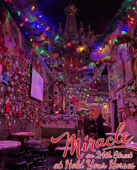 Photo of the Christmas Magic at Miracle on 24th St. (Hold Your Horses)