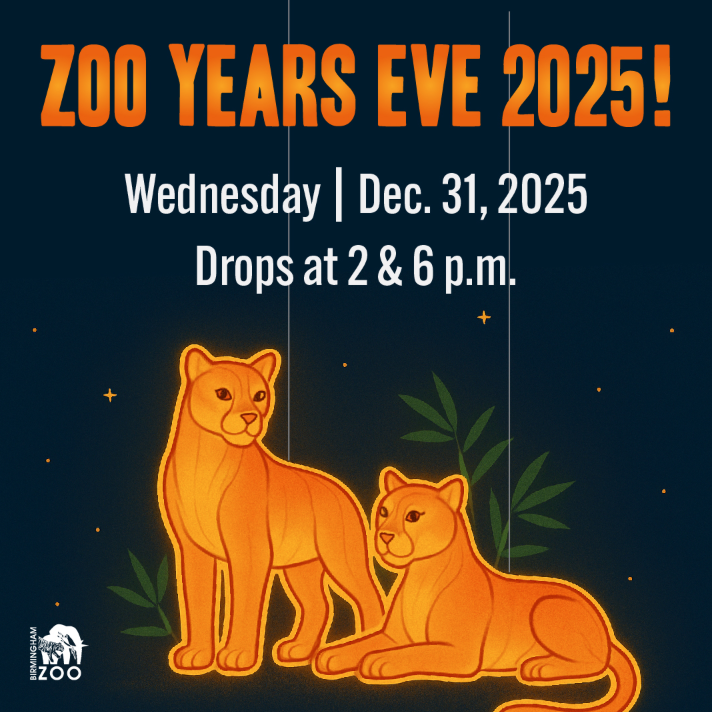Zoo Year's Eve (Birmingham Zoo)