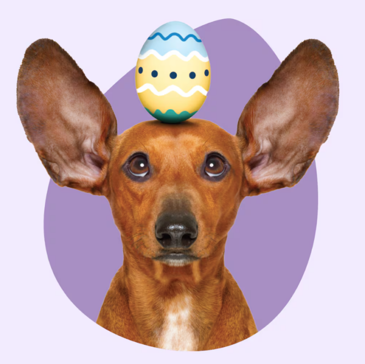 Photo from Riverchase Galleria website